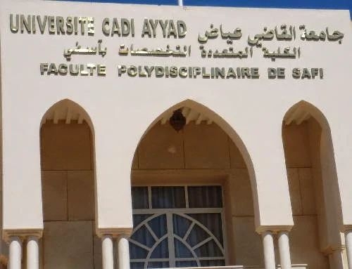 آسفي: طلبة شعبة التميز في ريادة الأعمال يتألقون في أول ندوة جامعية للابتكار والمقاولة بالكلية المتعددة التخصصات