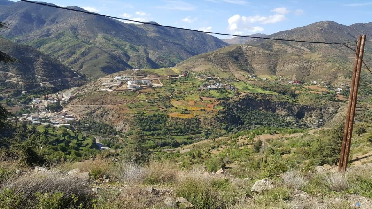 إقليم الحسيمة.. استيلاء على ملك غابوي وزراعة القنب الهندي وحفر أبار بدون رخصة بجماعة بني بونصار