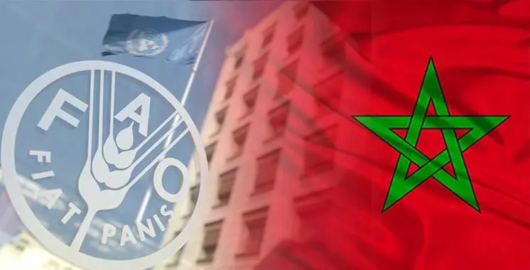 إعادة انتخاب المغرب عضوا في مجلس 'الفاو'
