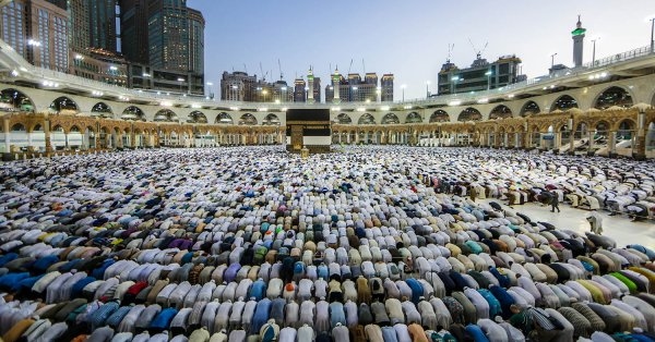 منع استعارة الكوادر بين حملات الحج.. وتشديد الرقابة على المغالاة في الأسعار