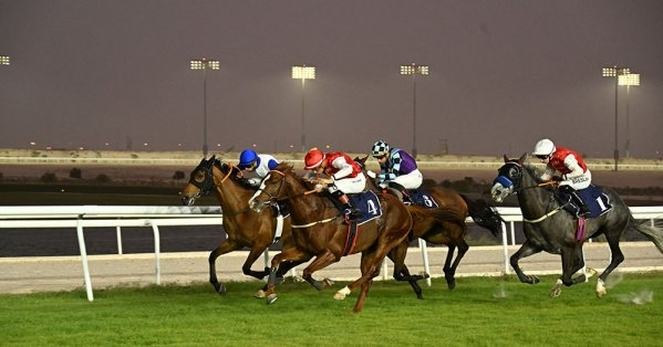 مشاركة كبيرة للجياد في السباق الثامن عشر للخيل