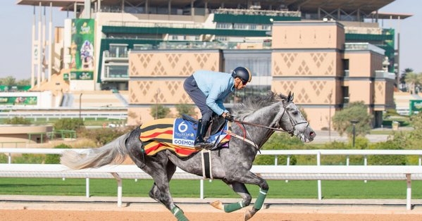 7 مشاركات للجياد البحرينية في أكبر وأغلى سباقات الخيل العالمية