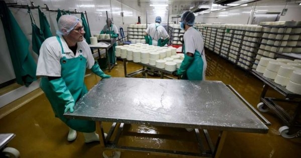 جبنة "روكفور" تحتفل بمئوية تسميتها وتسعى إلى إنعاش مبيعاتها المتراجعة