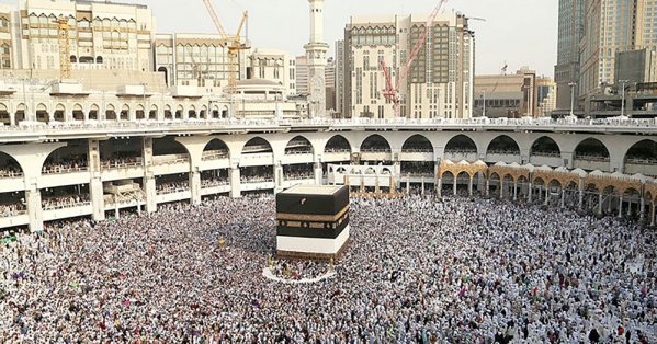 7 تراخيص حج لإداريي حملات الحج والكوادر