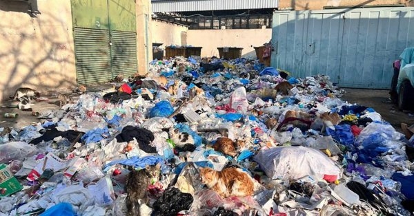 التصدي للتلوث بالبلاستيك.. دعوة إلى العمل في اليوم العالمي للبيئة