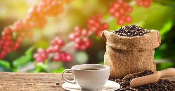 القهوة والأرز.. ما سر علاقتهما بصحة القلب؟