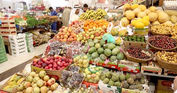تحقيق البلاد: 634 مليون دولار حجم السوق الزراعية للعام 2025