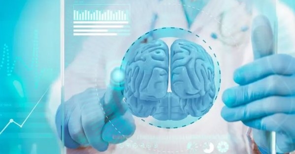 دراسة: يمكن للبالغين تكوين خلايا دماغية جديدة