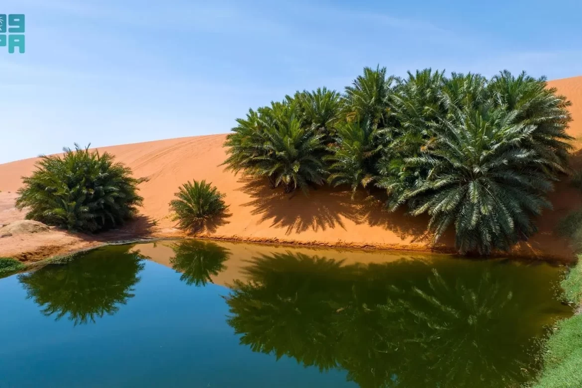 رسميًا.. انضمام 'شمال الرياض جيوبارك' و'سلمى جيوبارك' إلى شبكة الجيوبارك العالمية لليونسكو
