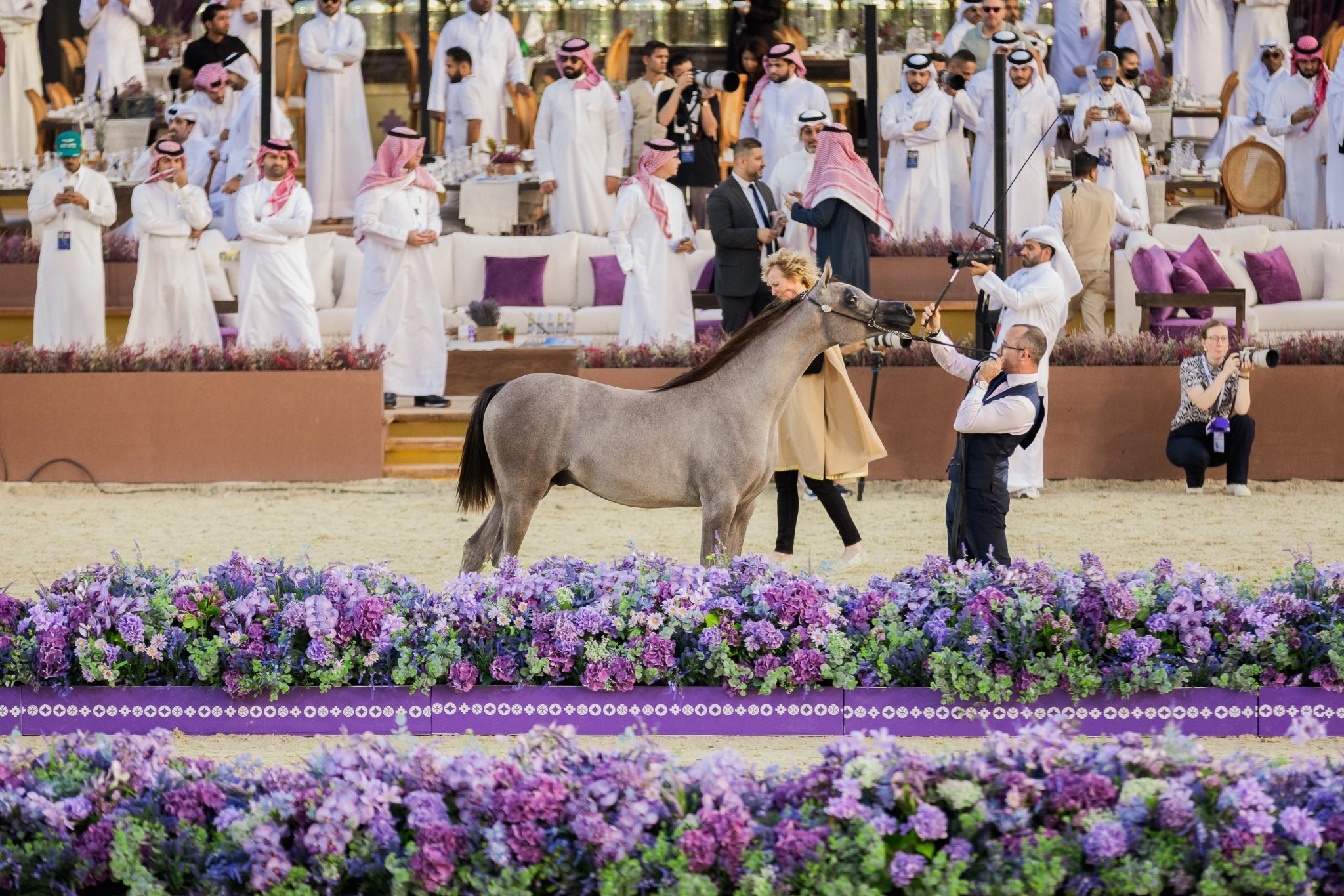 ختام 'جولة الرياض' للجياد العربية 2025 في نسختها الثانية