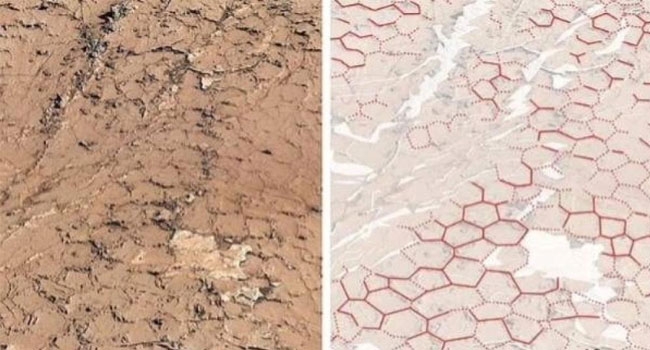 عسل 'الكوكب الأحمر' يحير العلماء