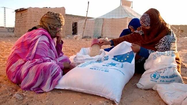 مطالب حقوقية جديدة للتحقيق في أوضاع النساء في مخيمات تندوف