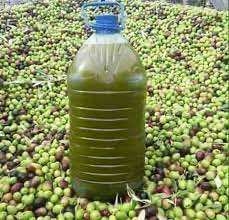 محاسبة الحكومة بالبرلمان بسبب صادرات زيت الزيتون