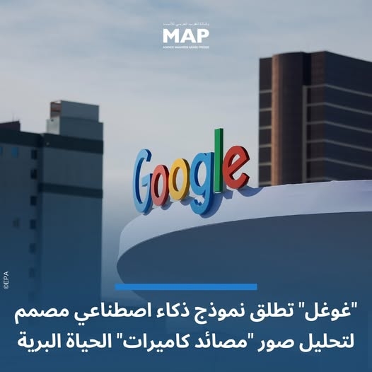 تحديد أنواع الحيوانات من خلال تحليل الصور من "مصائد الكاميرات"