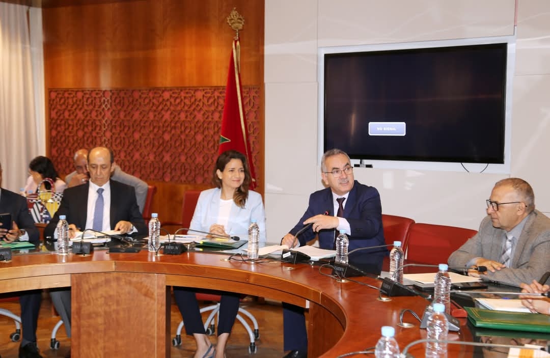 المعارضة تهاجم أداء الوكالة المغربية وبنعلي تقر بتأخر 20 سنة في النجاعة الطاقية