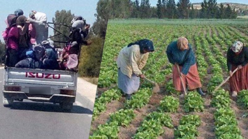 استرخاص أرواح العاملات الزراعيات يعيد المطالب بإصلاح منظومة النقل المهني