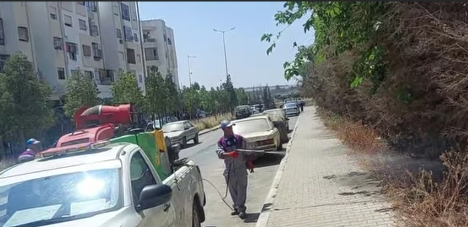شكاوي المواطنين تستنفر جماعة الدار البيضاء.. حملات تطهير واسعة لمحاربة البعوض والجرذان