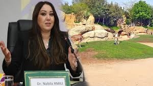 هل تعرقل أشغال القطار السريع افتتاح حديقة عين السبع بعد سنوات من الانتظار؟
