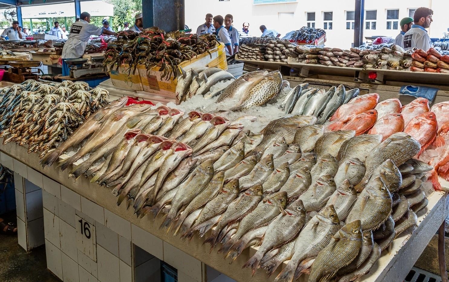 أسعار السمك اليوم 25-5-2025 في مصر