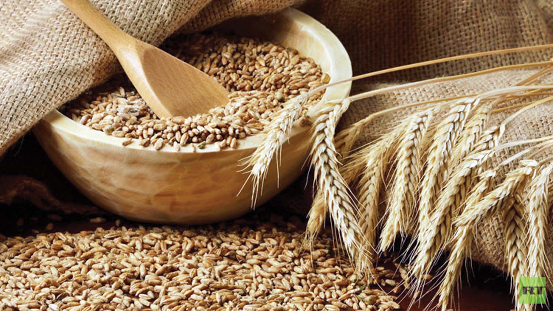 أسعار الأعلاف والخامات العلفية خلال التعاملات اليوم الأحد 8-6-2025