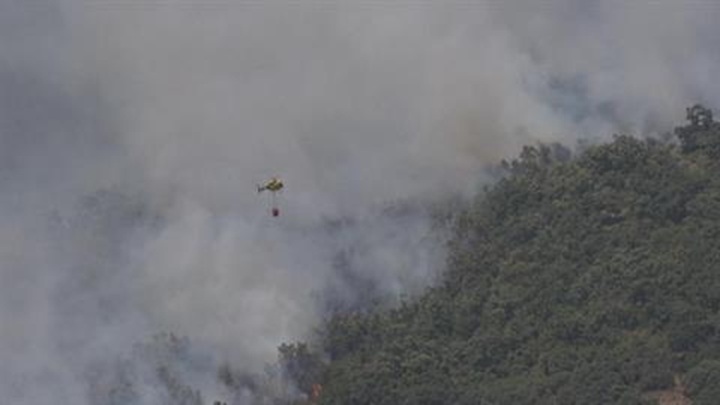 الجيش يتدخل لمواجهة حرائق غابات مدمرة غرب البلاد .. اغلاق عشرات الطرق و تحذيرات للسكان