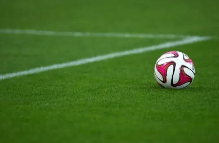 شرودر مدرب النصر الإماراتي يعلن رحيله عن الفريق بعد نهاية الموسم