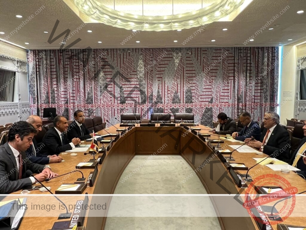 وزير الخارجية والهجرة يلتقي نائب رئيس الوزراء ووزير خارجية باكستان