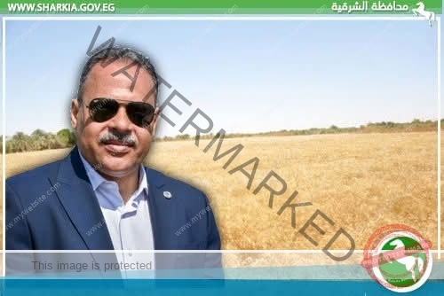 منذ بداية الحصاد…صوامع وشون الشرقية تستقبل ٦٠٣٤٩٩ طن و ٦٨٦ كيلو من الأقماح المحلية