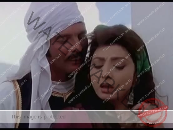 شجاران لنبيلة عبيد وشماتة نادية الجندي.. كواليس أفلام