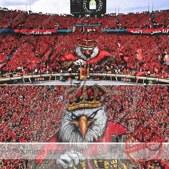 الحصاد الرياضي اليوم الخميس 24 يوليو