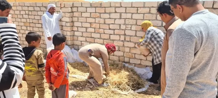 بحوث الصحراء يدعم الزراعة العضوية ويُدرب مزارعي مطروح على الممارسات البيئية المستدامة
