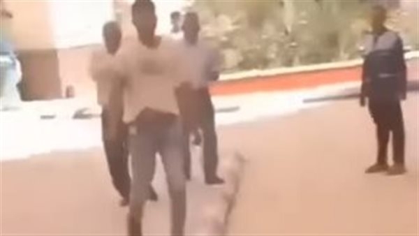فيديو "تيك توك" يشعل جامعة سوهاج..وإصابة طالب بسلاح أبيض!