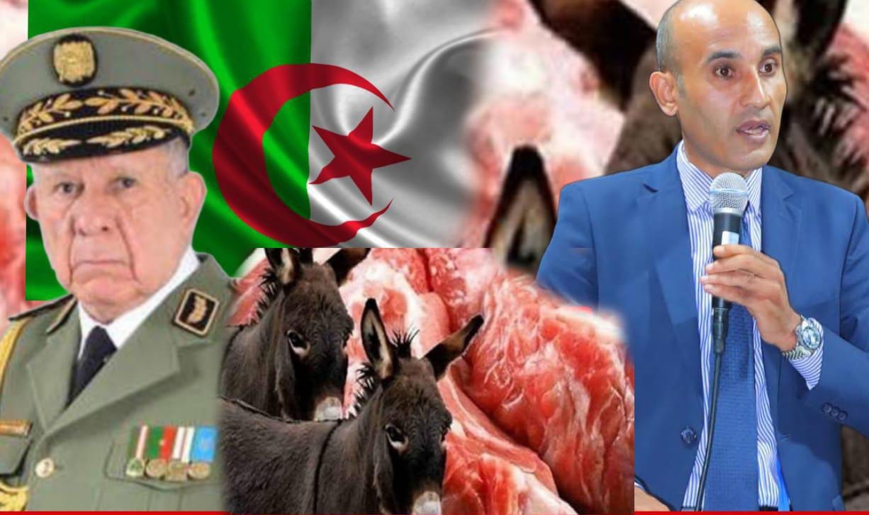 منظمة حقوقية مغربية مستقلة وطنيا و دوليا تندد بخصوص فضيحة ذبح الحمير بولاية سطيف، وبيع لحومها للمواطنين الجزائريين