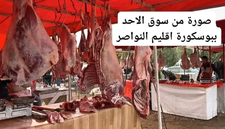 المواطنون يشتكون من ارتفاع أسعار اللحوم في سوق بوسكورة