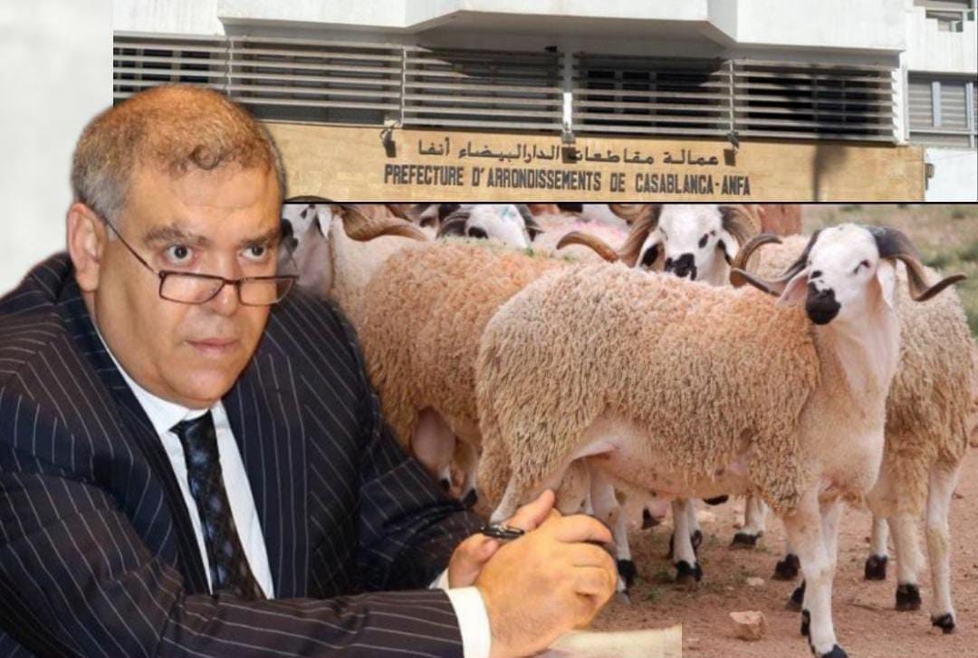 مصالح عمالة مقاطعات الدار البيضاء أنفا تنفذ قرار وزارة الداخلية بمنع جميع الأنشطة المرتبطة بشعيرة الذبح الخاصة بعيد الأضحى لعام 2025