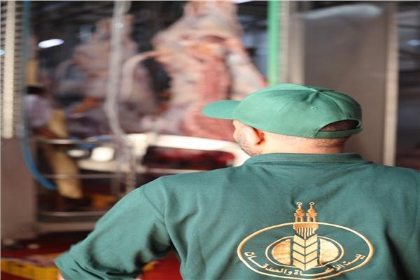 «بيت الزكاة» يبدأ ذبح الأضاحي لتوزيع 2 كيلو لحمة على المستحقين