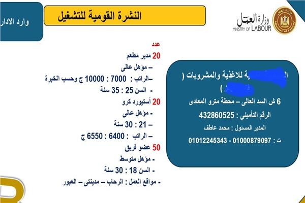 براتب 10 آلاف جنيه.. "العمل" تعلن 90 وظيفة في مجال الوجبات السريعة