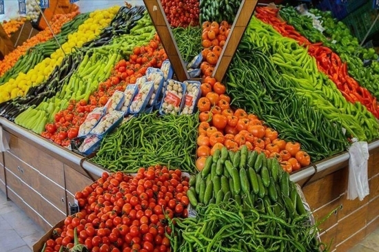 اربد : مواطنون يشكون من ارتفاع اسعار الخضروات