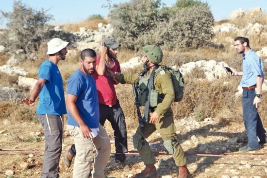 مستوطنون يهاجمون مساكن المواطنين غرب أريحا