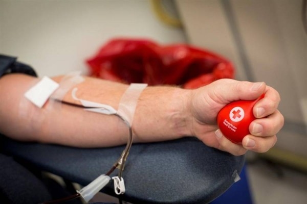 بلدية الزرقاء تنظم غدا الخميس حملة للتبرع بالدم