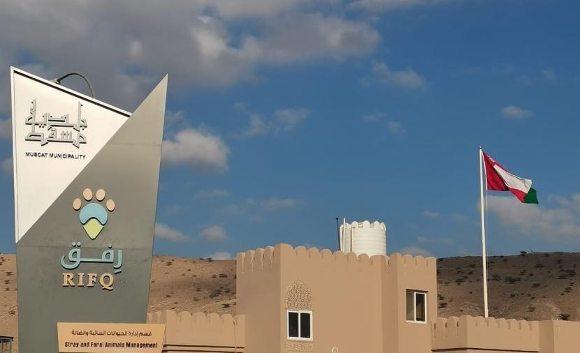 إطلاق خدمة "رفق" لرعاية الحيوانات الضالة والسائبة في مسقط