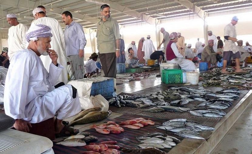 وفرة المعروض تساهم في خفض أسعار الأسماك