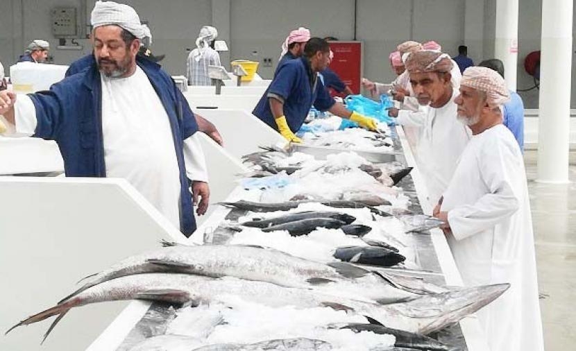 وفرة في كميات الأسماك بالأسواق مع استمرار انخفاض الأسعار