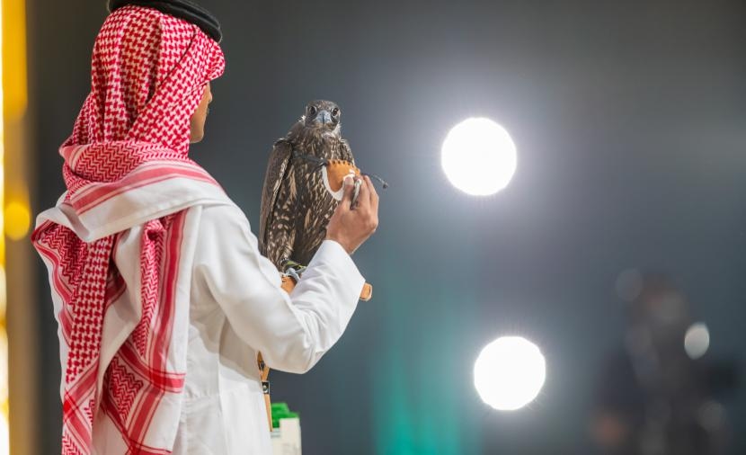29 مليون ريال سعودي في 4 أعوام.. الصقور تجمع العالم في الرياض عبر "المزاد الدولي"