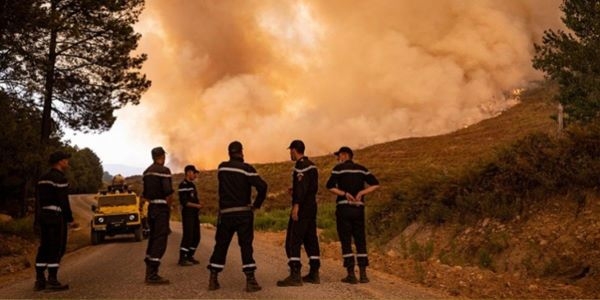 الوكيل العام يكشف معطيات جديدة حول حريق غابة هوارة بطنجة