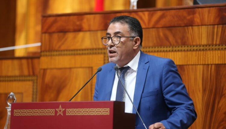 حموني: الحكومة تشتغل لكن لا أثر لعملها على المواطن... واعتراف مكوناتها "سيد الأدلة"