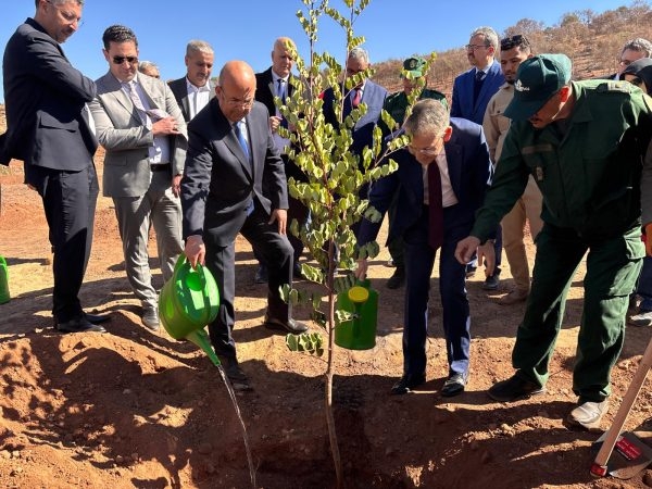 إطلاق برنامج استعجالي لإعادة تأهيل وتثمين الغابة الحضرية لسيدي معافة بوجدة