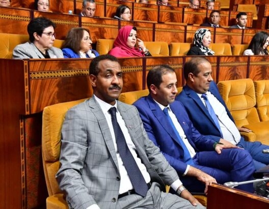 المعارضة تقترح تعديلات على مرسوم التعيين في المناصب العليا لتجنب تكرار فضيحة مدير الميناء المتوسطي