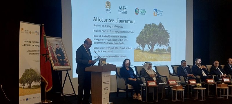 هومي: جعلنا من قضايا الغابات أولوية استراتيجية لأهميتها في المحافظة على التوازنات البيئية