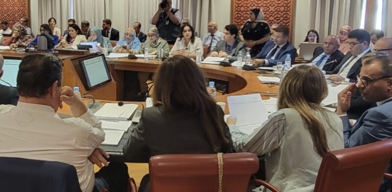 بوانو يدعو بنسعيد إلى الالتزام بإحالة قانون مجلس الصحافة على المحكمة الدستورية بعد المصادقة عليه